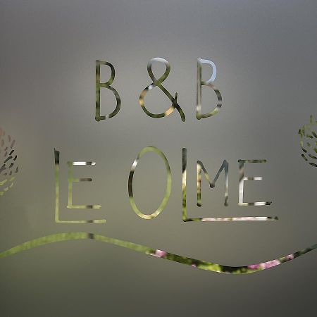 B&B Le Olme Мольяно-Венето Экстерьер фото